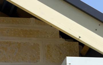 soffit repair Capelulo