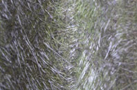 Capelulo fibreglass roof work