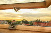 rated Capelulo roof window companies